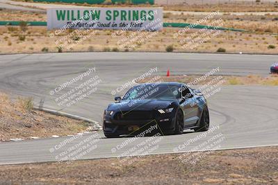 media/Oct-25-2025-West Coast Racing (Sat) [[9fdcbcd09c]]/Green group/Turn 3/